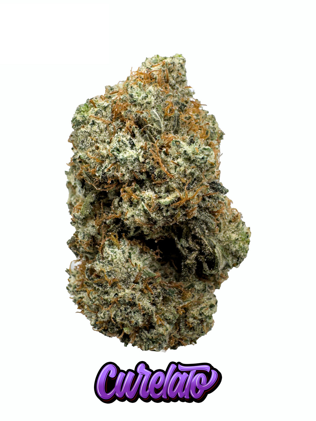 POUNDS CURELATO — Exotic