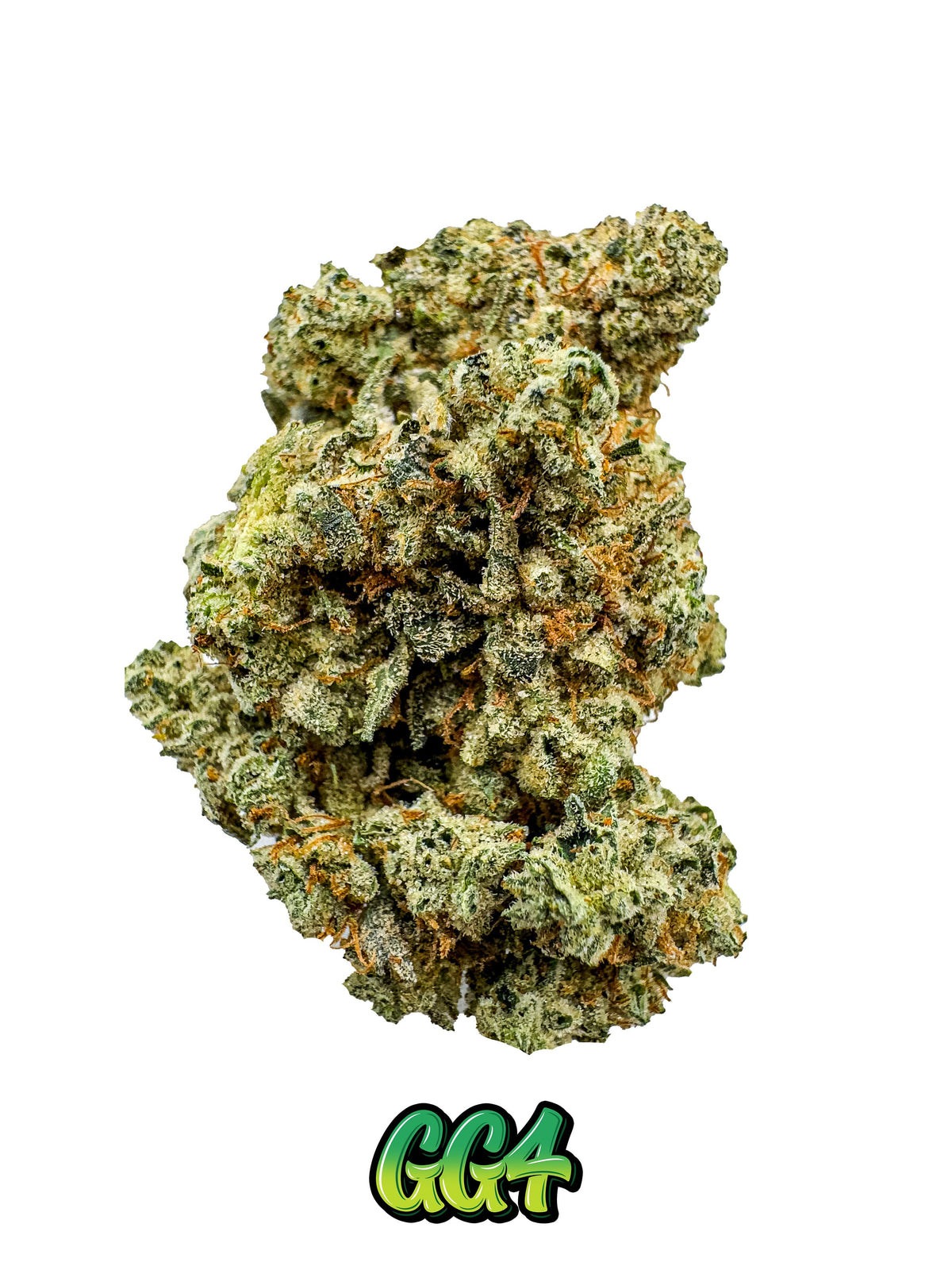 POUNDS GG4 — Premium