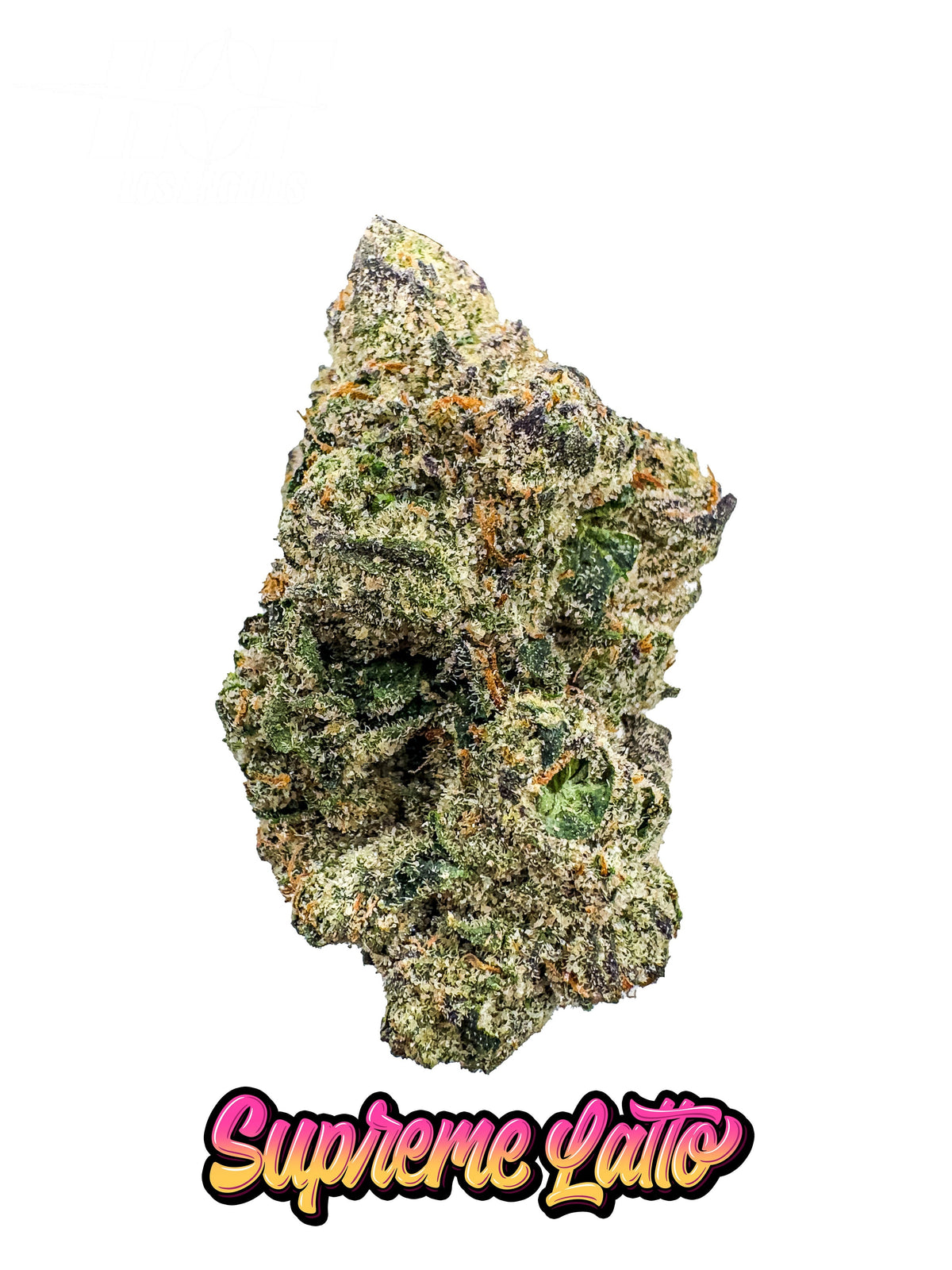 SUPREME LATTO — Exotic Flower
