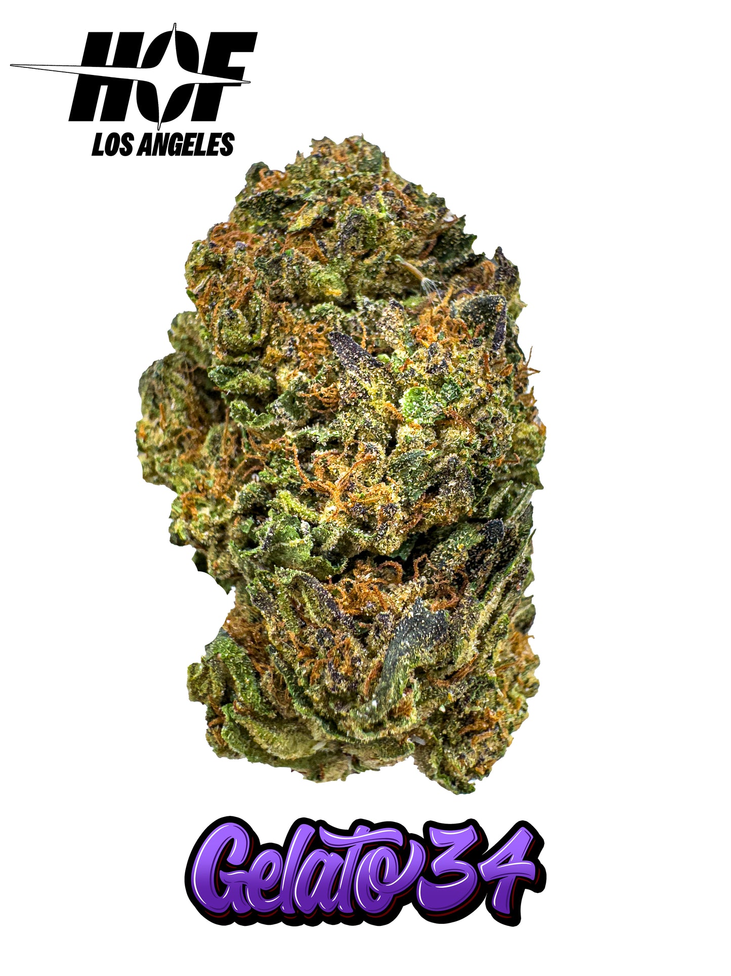 GELATO 34 - PREMIUM THCA Flower