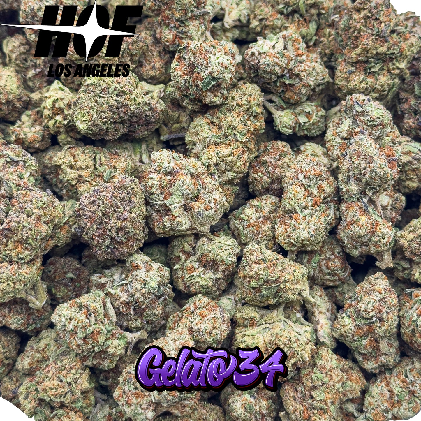 GELATO 34 - PREMIUM THCA Flower