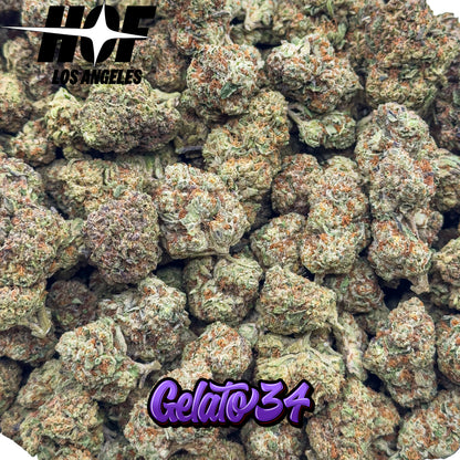 GELATO 34 - PREMIUM THCA Flower