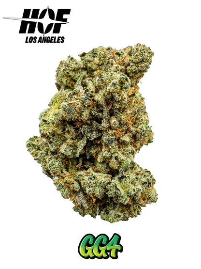 GG4 - INDOOR THCA FLOWER