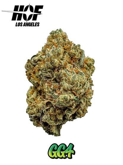 GG4 - INDOOR THCA FLOWER