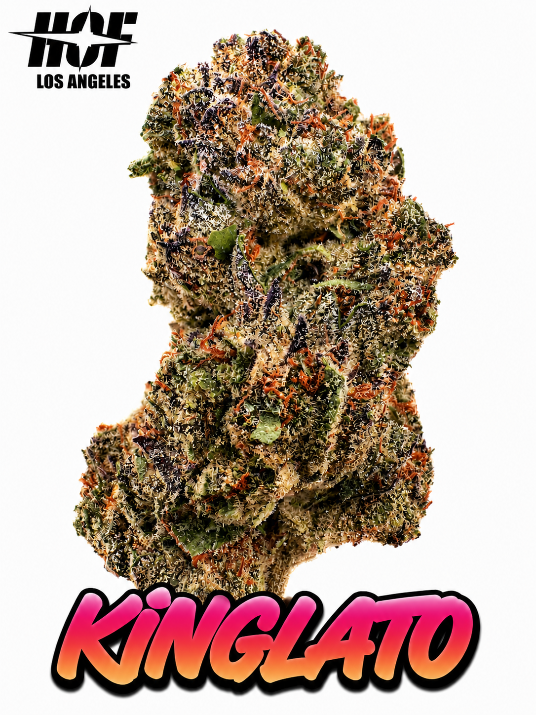 KINGLATO