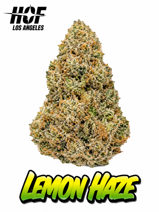 LEMON HAZE - PREMIUM THCA FLOWER