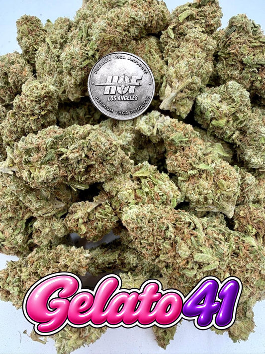GELATO 41 Classic - 28 Grams