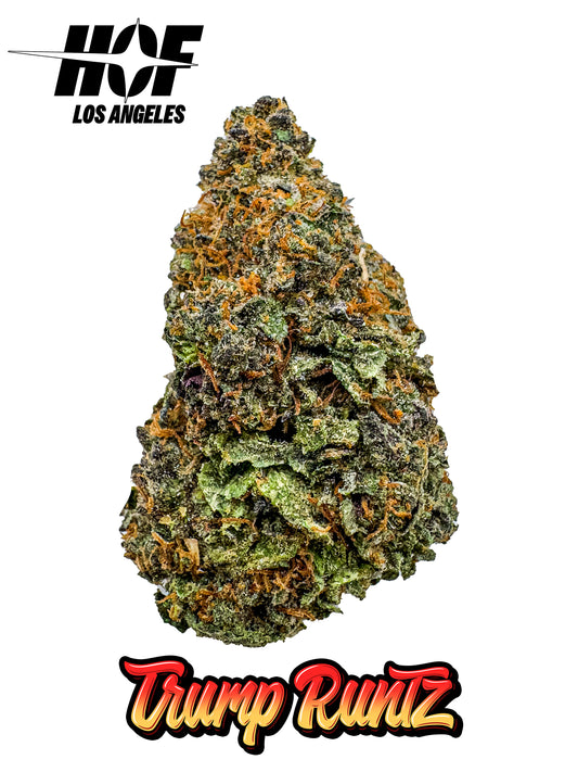 TRUMP RUNTZ - EXOTIC THCA FLOWER