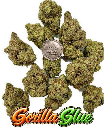 GORILLA GLUE Premium - 28 Grams