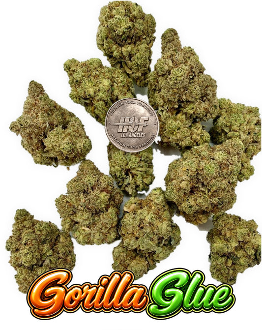 GORILLA GLUE Premium - 1LB - 448 GRAMS