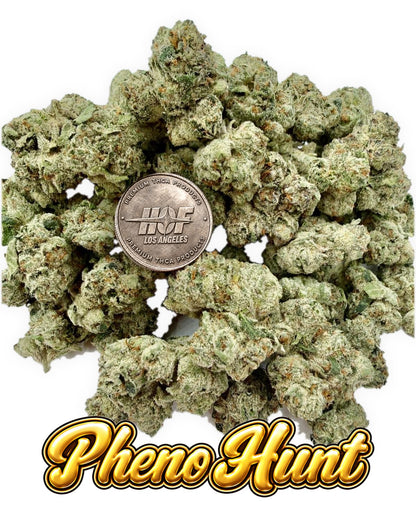 PHENO HUNT Exotic - 28 Grams