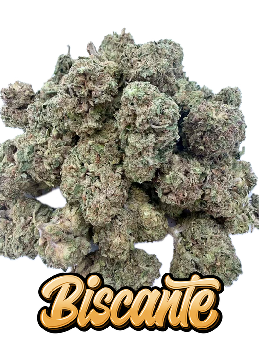 BISCANTE Classic — Ounce Deals