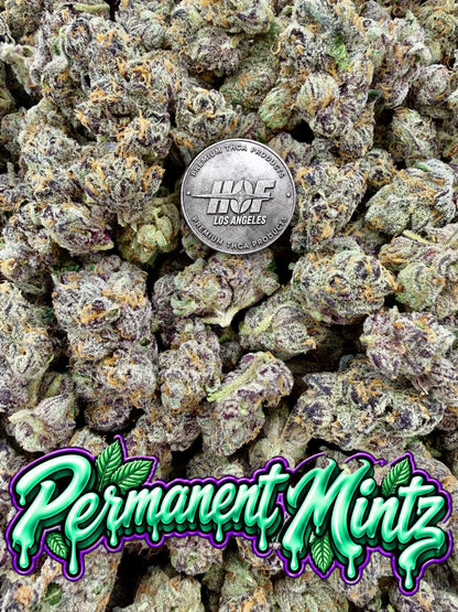PERMANENT MINTZ Exotic - 28 Grams